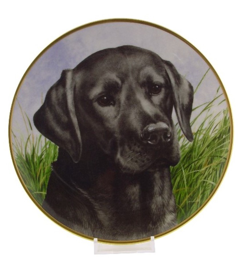 Labrador retriever gifts outlet and collectibles