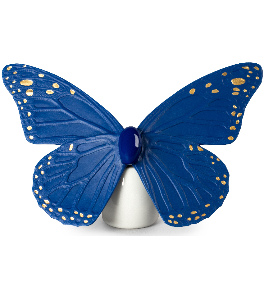 Butterfly Koi for Sale | Buy Butterfly Koi Online | Koi Fish